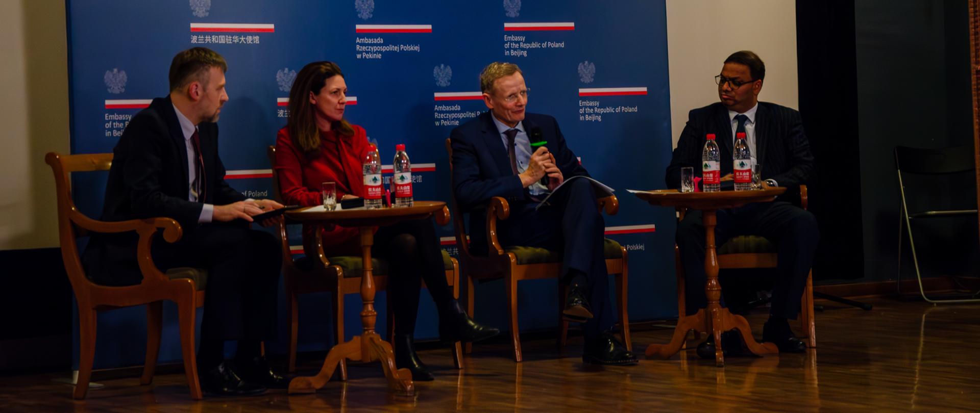 The Fuller Picture: pomoc rozwojowa w niestabilnym świecie