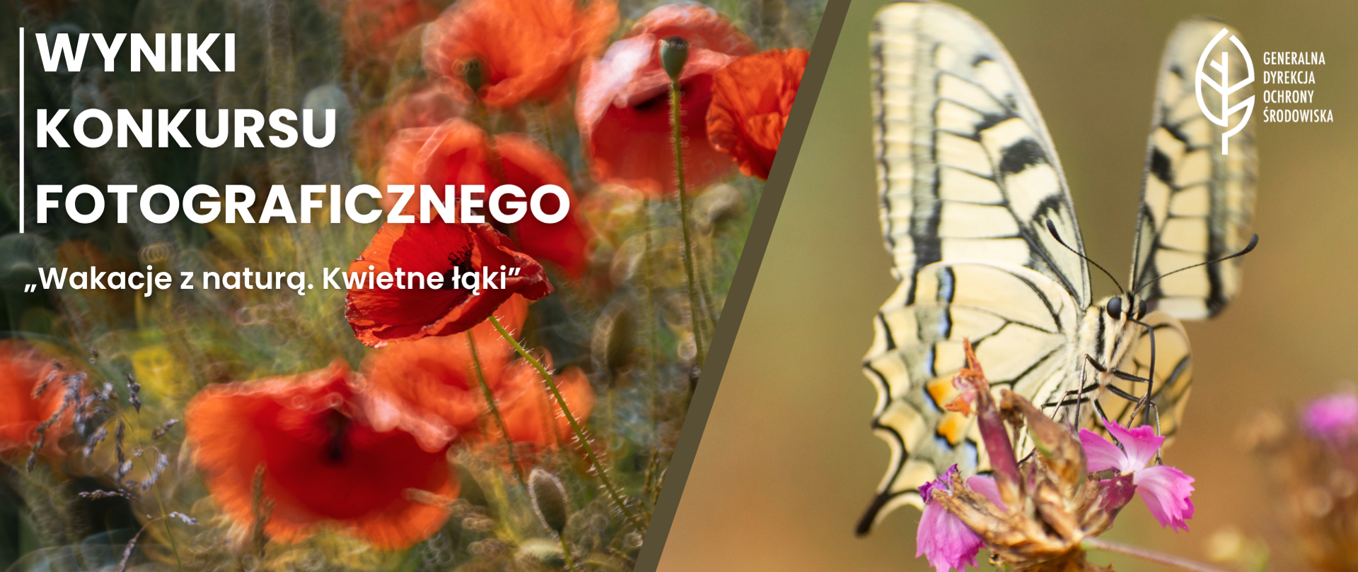 Na grafice przedstawiono przyrodniczą scenę utrzymaną w ciepłej, naturalnej kolorystyce. Po lewej stronie widoczne są czerwone kwiaty na tle rozmytej łąki, co nadaje obrazowi malarski i dynamiczny charakter. Po prawej stronie znajduje się duże zbliżenie jasnego motyla siedzącego na drobnych różowych kwiatach. Całość została wykorzystana jako tło materiału informacyjnego dotyczącego konkursu fotograficznego, a kompozycja podkreśla piękno i różnorodność natury.