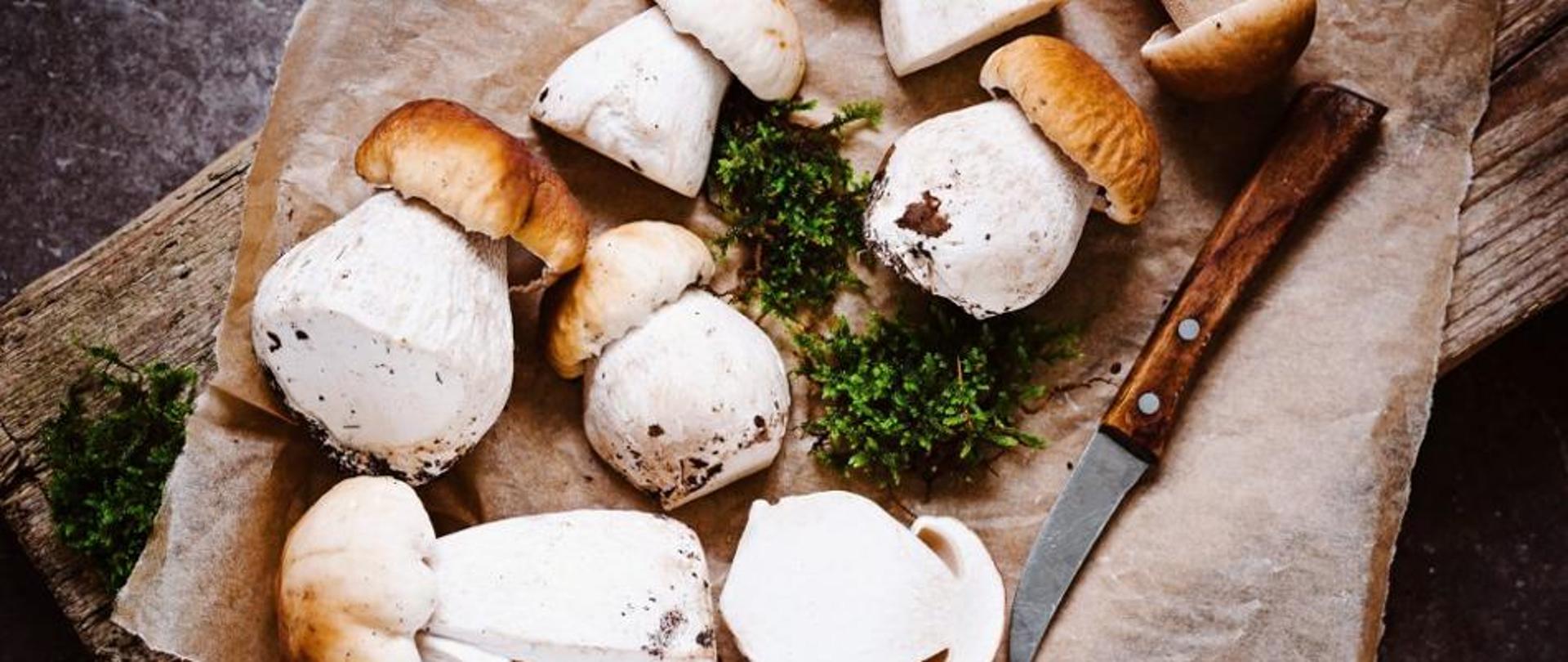 Na papierze leży kilaka grzybów, między nimi mech. Po prawej stronie nóż do czyszczenia grzybów.