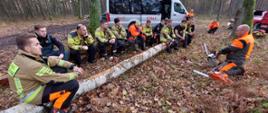 Zdjęcie 5.jpg: Scena z zajęć teoretycznych w terenie. Duża grupa strażaków w mundurach PSP i kombinezonach ochronnych siedzi w rzędzie na leżącym pniu, słuchając instruktora. Instruktor klęczy naprzeciw nich, z piłą łańcuchową w rękach, prowadząc wykład na temat pracy i technik cięcia. W tle widoczny jest biały, służbowy bus z napisem "STRAŻ".