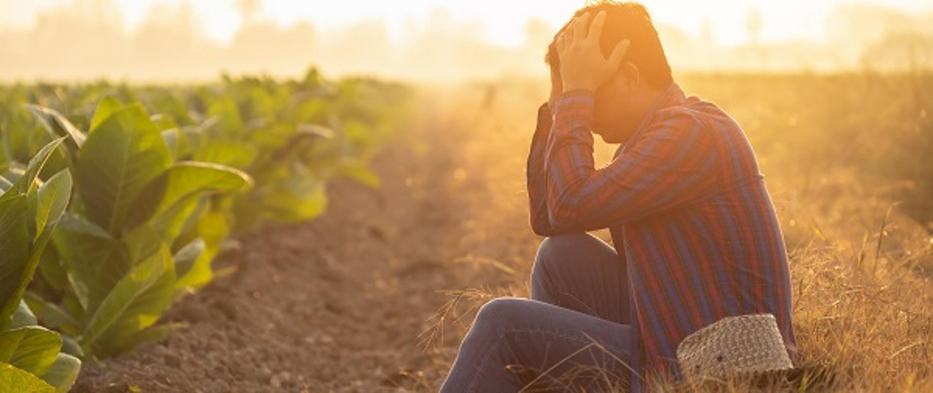 Fail, unsuccessful or very tired farmer concept. Asian farmer is working in the field of tobacco tree, sitting and feeling quite bad, sick and headache. Agriculture business concept