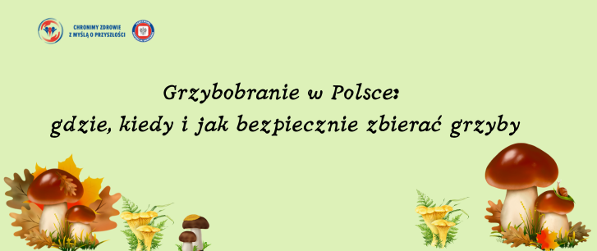 Na jasno zielonym tle grafiki grzybów jadalnych, borowików, podgrzybków i kurek. Na środku napis Grzybobranie w Polsce: gdzie, kiedy i jak zbierać grzyby. W lewym górnym rogu logo Państwowej Inspekcji Sanitarnej z hasłem chronimy zdrowie z myślą o przyszłości.