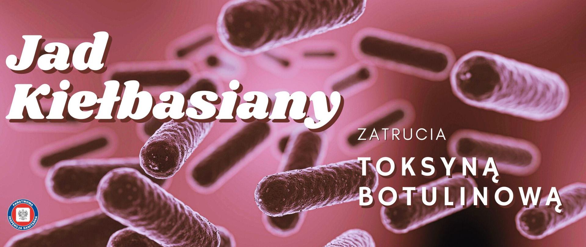 Pałeczki jadu kiełbasianego