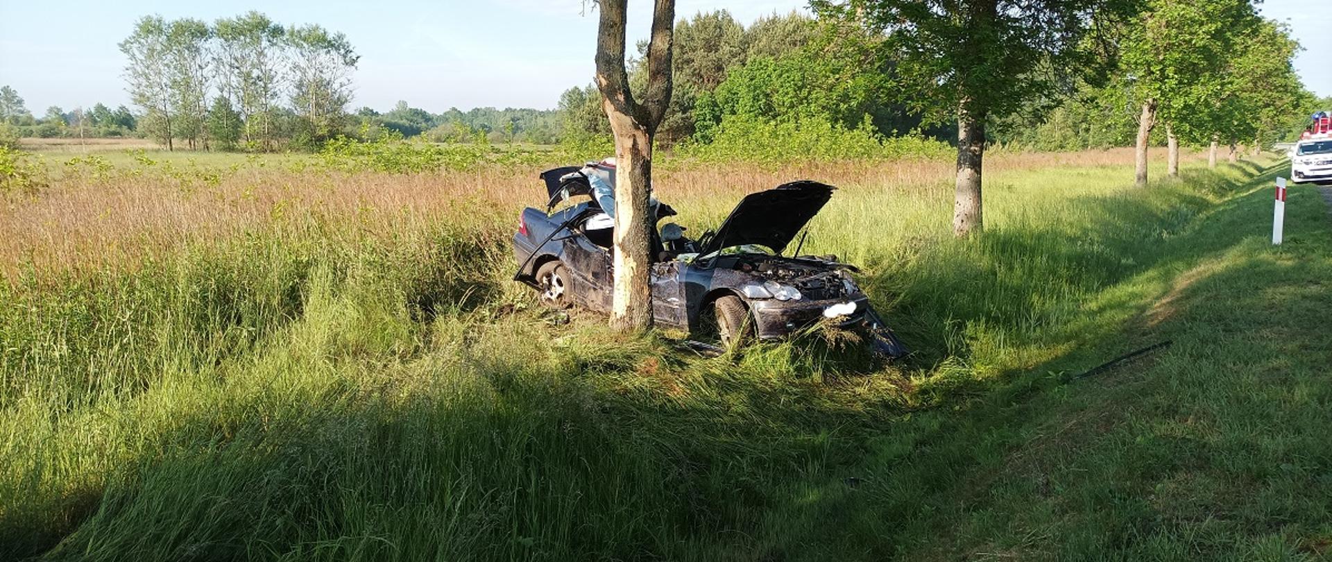 Samochód osobowy uderzył w drzewo
