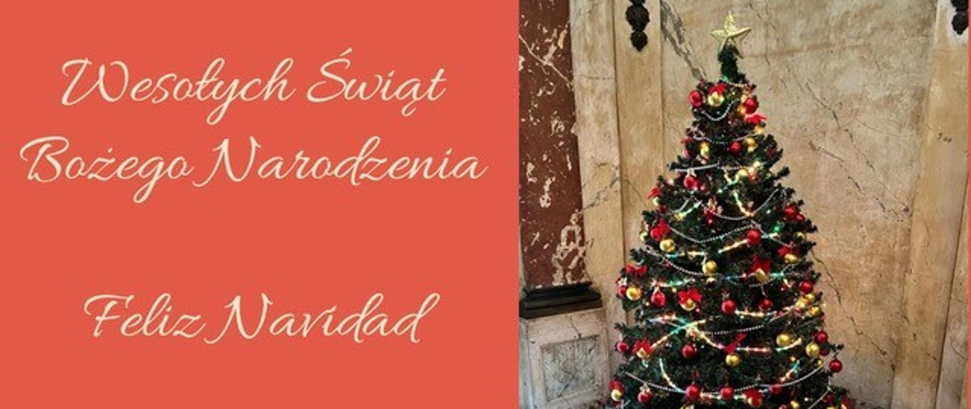 Pogodnych Świąt Bożego Narodzenia!