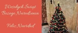 Pogodnych Świąt Bożego Narodzenia!