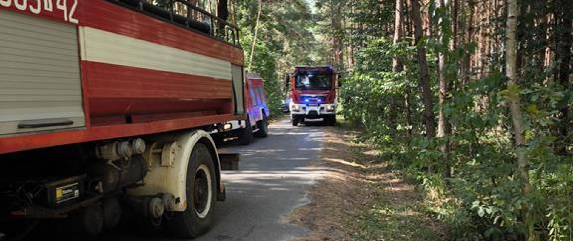 Działania Gaśnicze w miejscowości Brzozowa