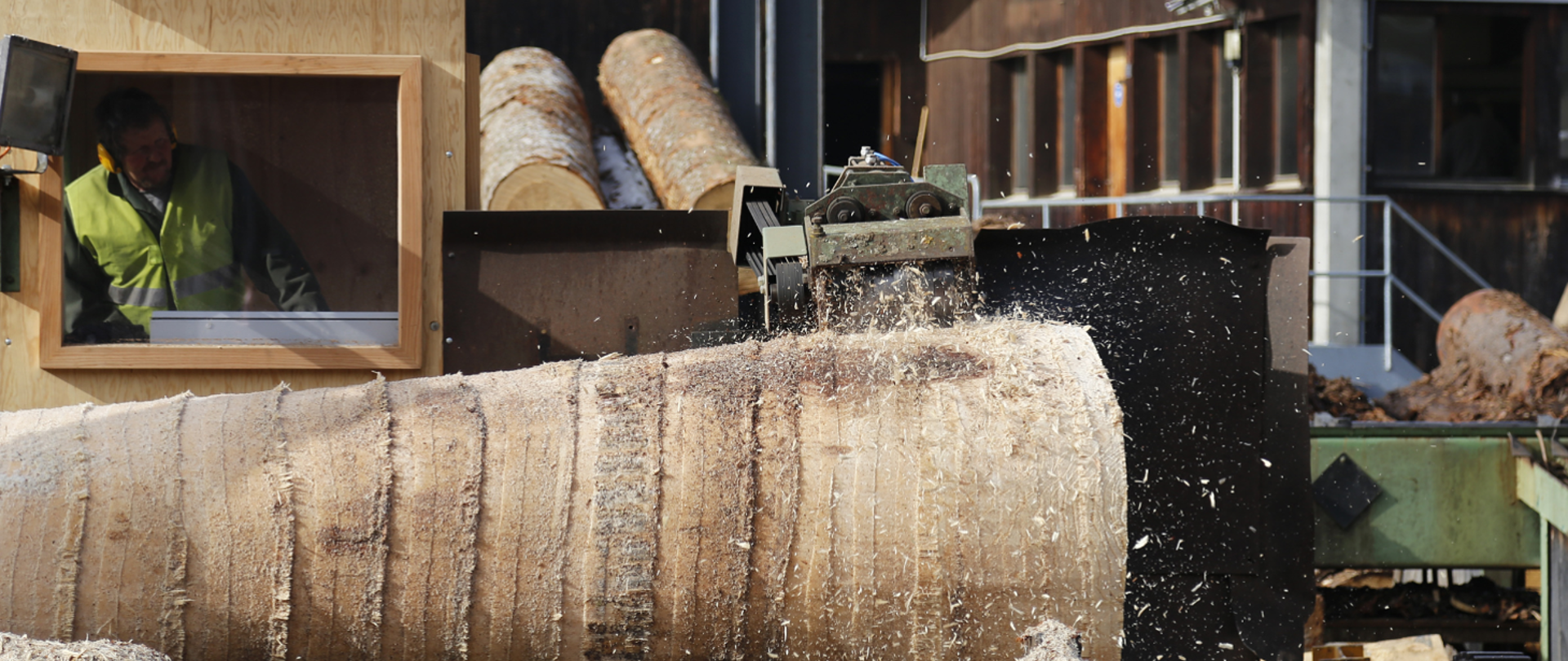 Pyły drewna-wytyczne dla pracodawców, pracowników i służb związanych z bezpieczeństwem i higieną pracy