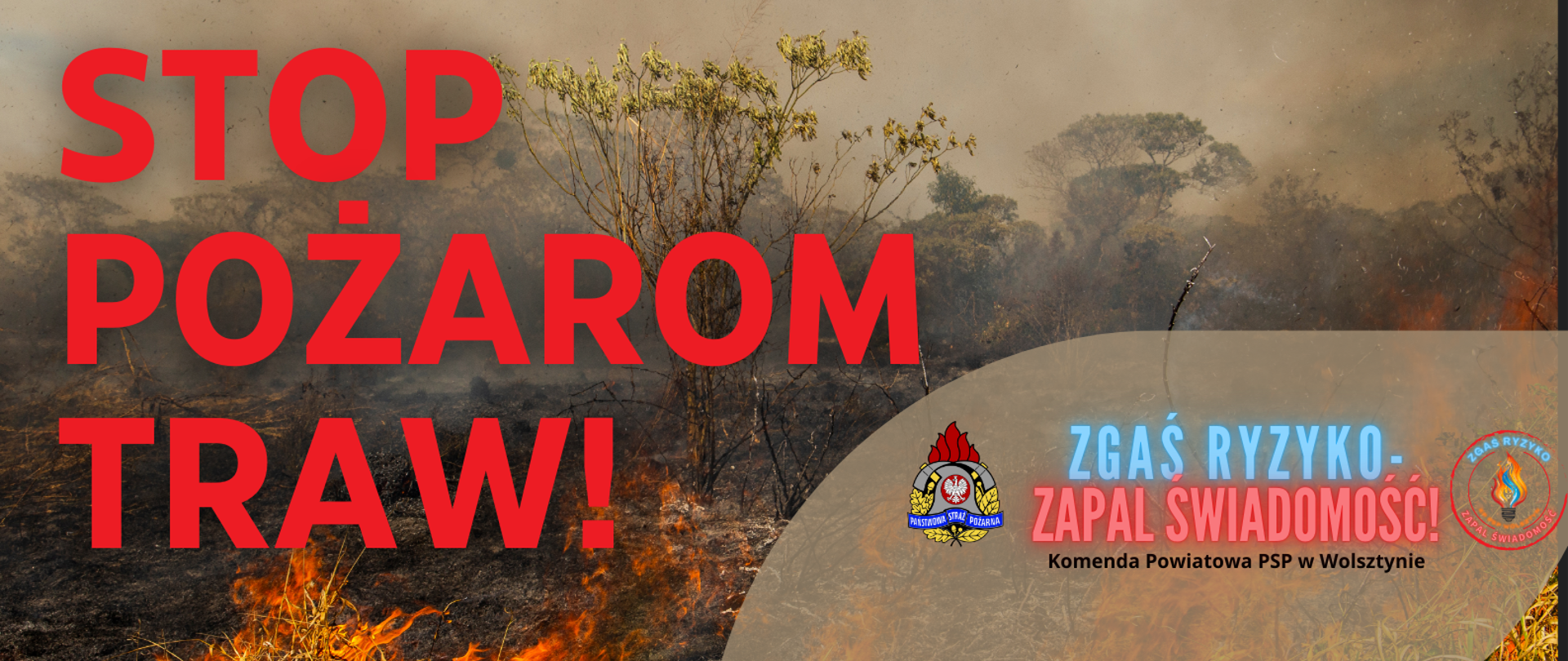 Grafika z podstawowymi informacjami dotyczącymi pożarów traw