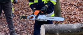 Zdjęcie przedstawia zajęcie z cięcia pilarką mechaniczną w lesie na zdjęciu strażak tnący oraz instruktor nadzorujący.