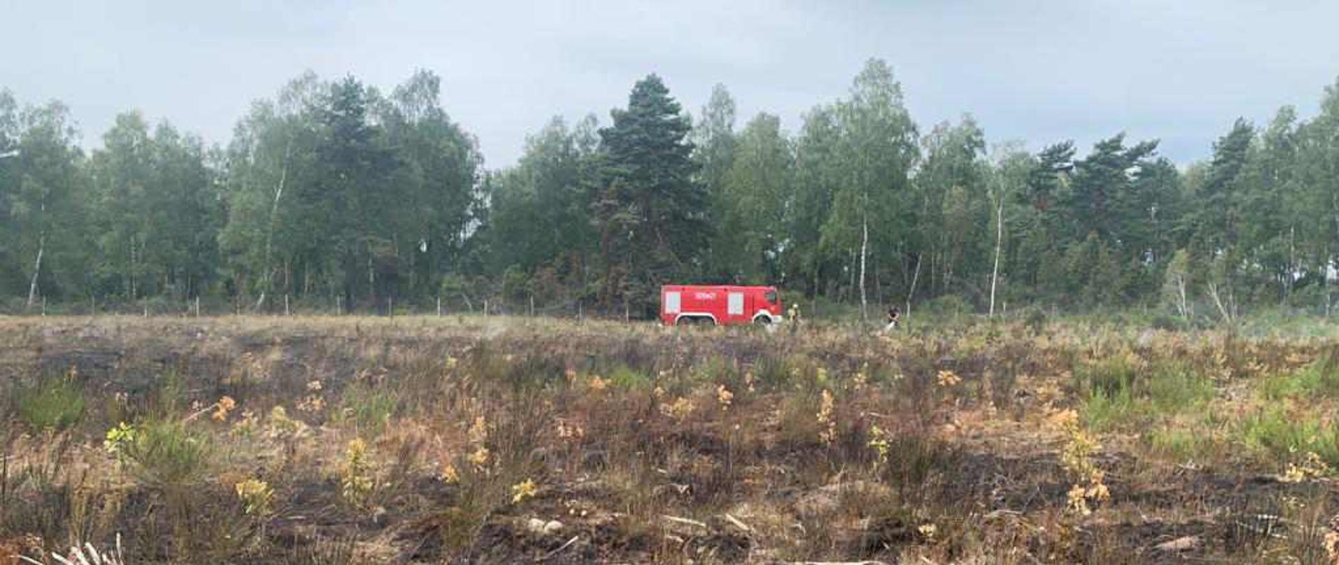 pożar na terenie kompleksu leśnego Czerwony Bór, w tle samochód gaśniczy