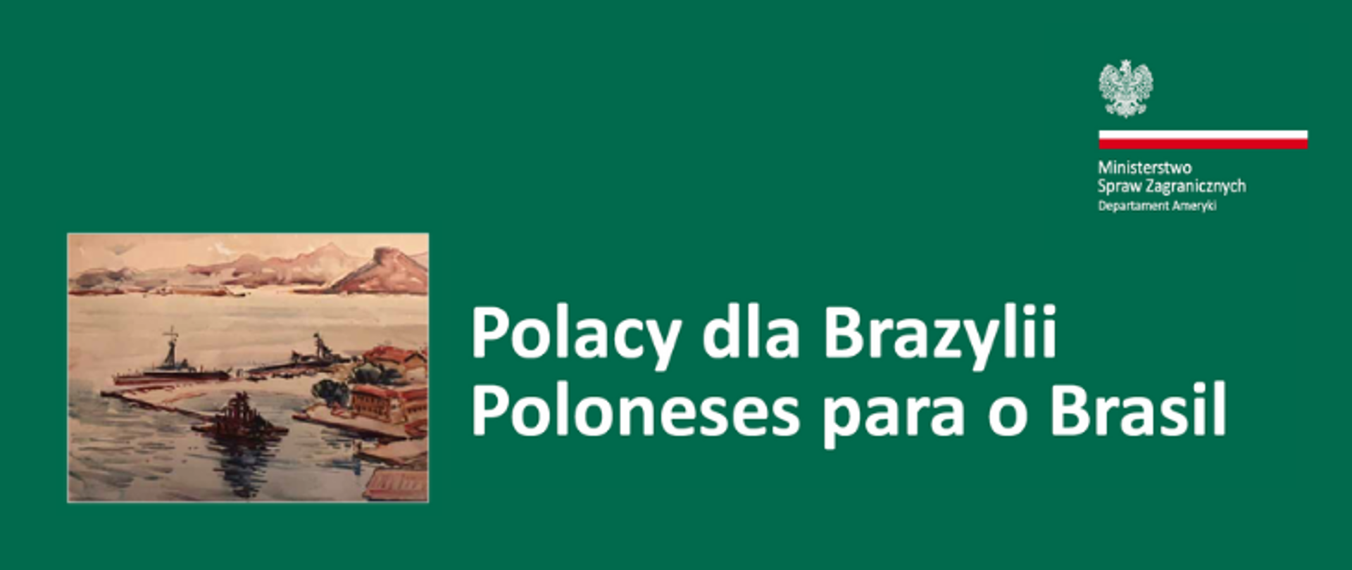 Polacy dla Brazylii.png