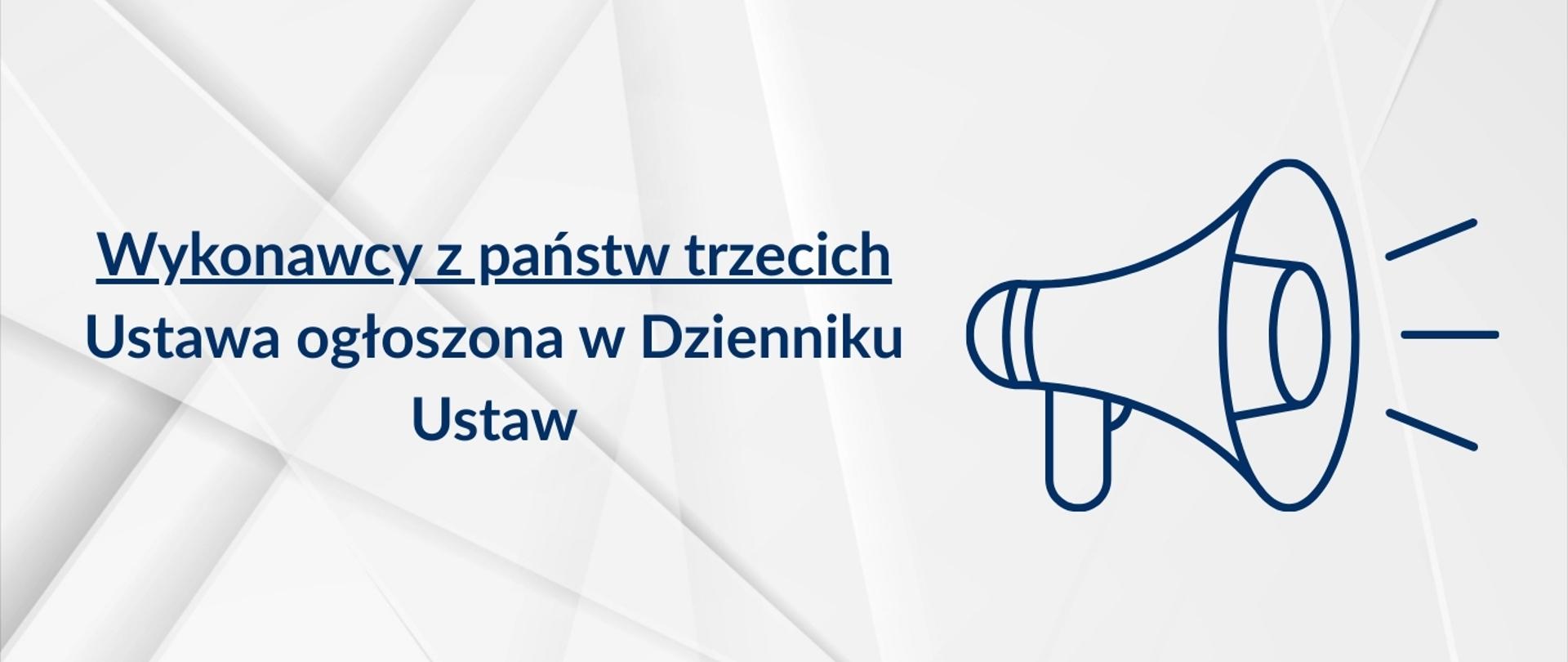 Wykonawcy z państw trzecich – ustawa ogłoszona w Dzienniku Ustaw