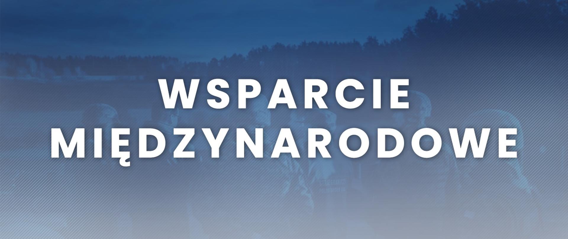 Wsparcie międzynarodowe.