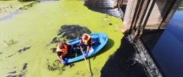 Zdjęcie przedstawia strażaków w łodzi wiosłowej, dokonujących połowu śniętych ryb. Zdjęcie wykonane w okolicy jazu na północnym kanale Obry.