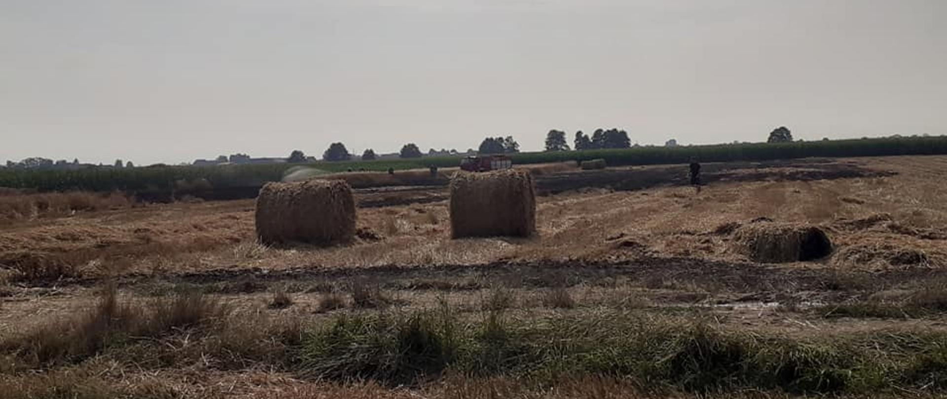 Pożary w czasie żniw. Na pierwszym planie ściernisko, a na nim słoma - w balotach oraz luzem. W oddali wóz straży pożarnej oraz strażacy gaszący pożar ścierniska. W tle kukurydza i drzewa.