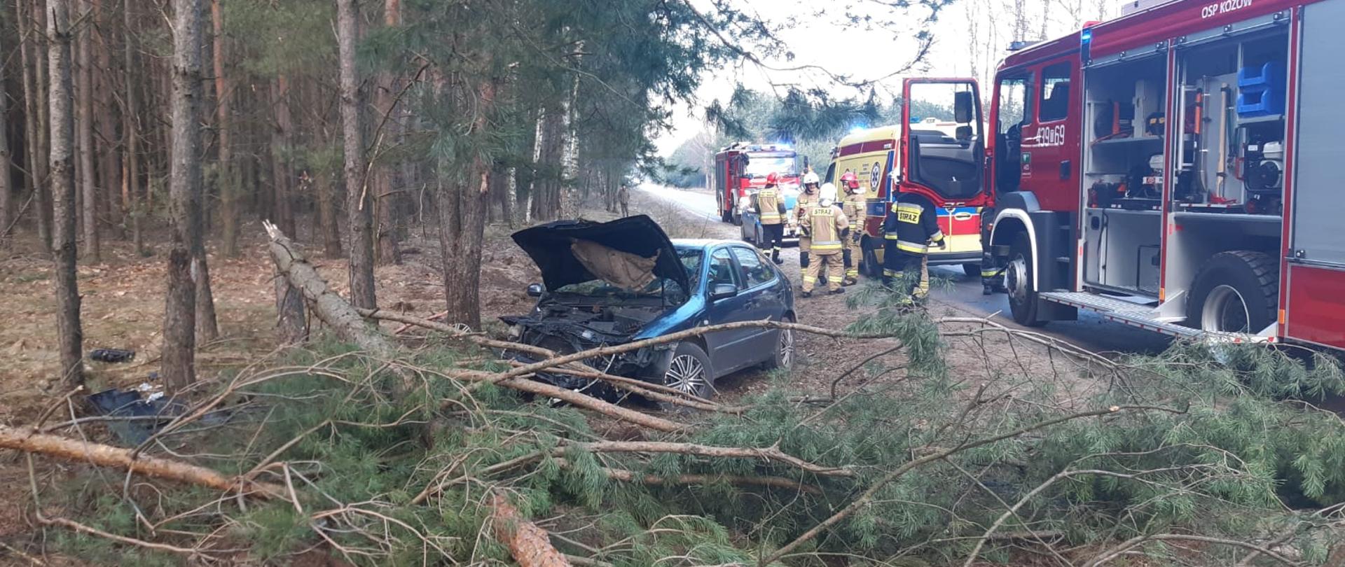 Samochód osobowy uderzył w drzewo, które złamał po lewej. Po prawej samochody służb ratowniczych i strażacy kończą działania.