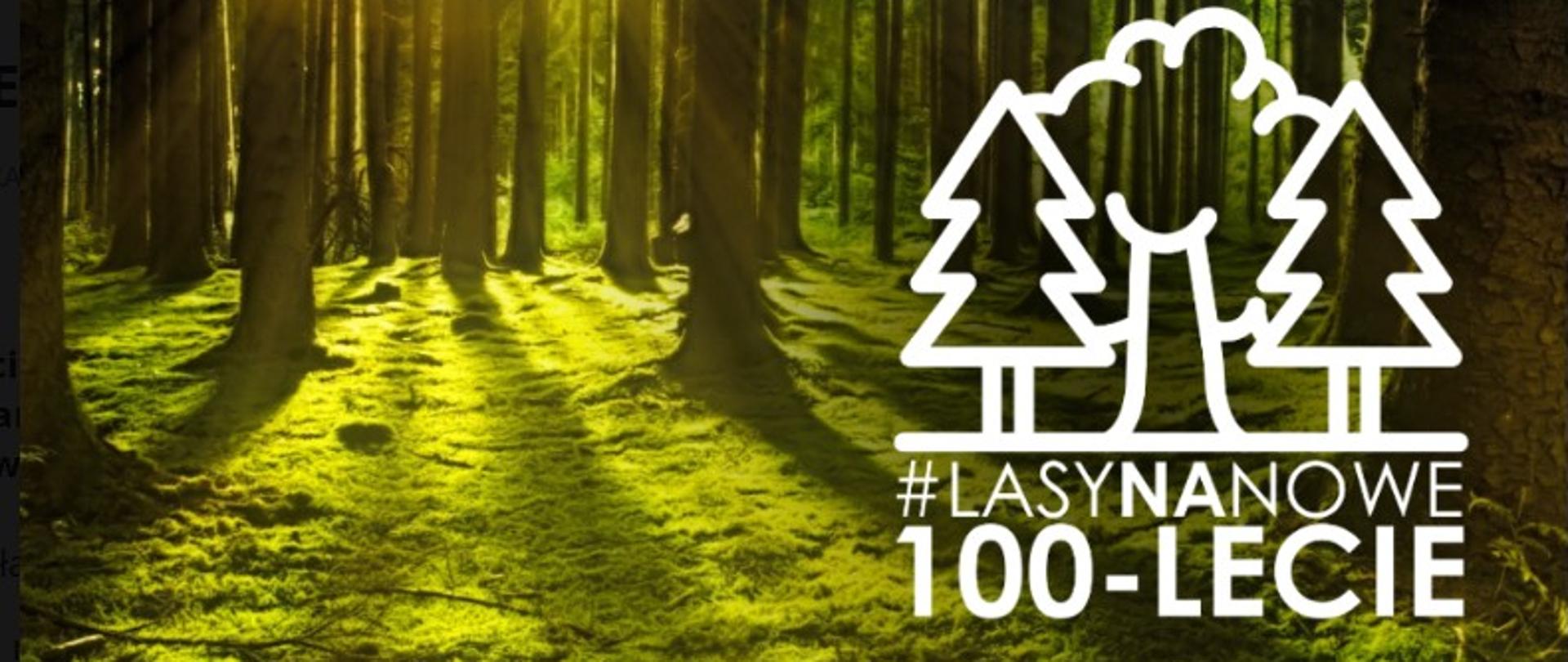 Infografika - na tle lasu z prawej strony u góry logo Lasów Państwowych u dołu napis Lasy na nowe 100-lecie