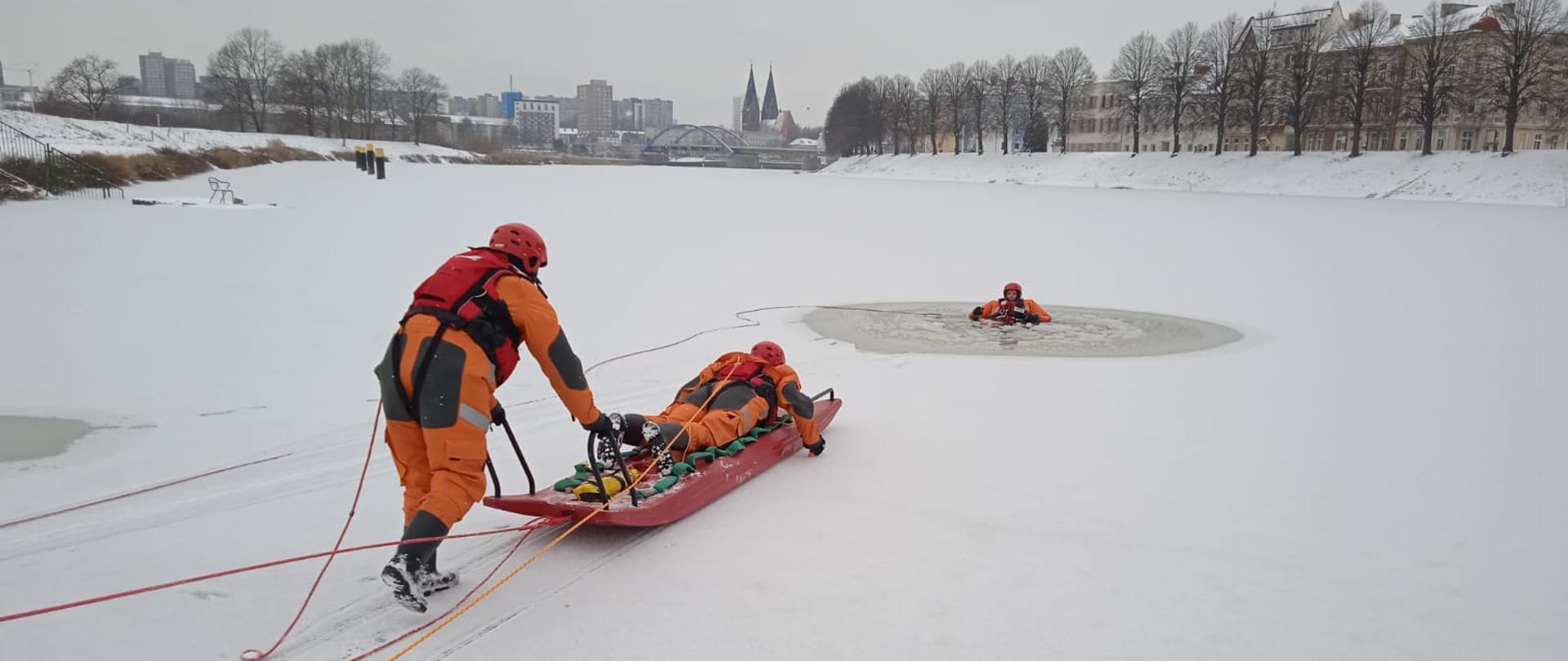 Strażacy w ubraniach do pracy w wodzie i kaski, zabezpieczeni w kamizelkach ratunkowych i asekurowani linkami, wchodzący wraz z saniami lodowymi na lód do osoby pozorującej człowieka pod którym załamał się lód.