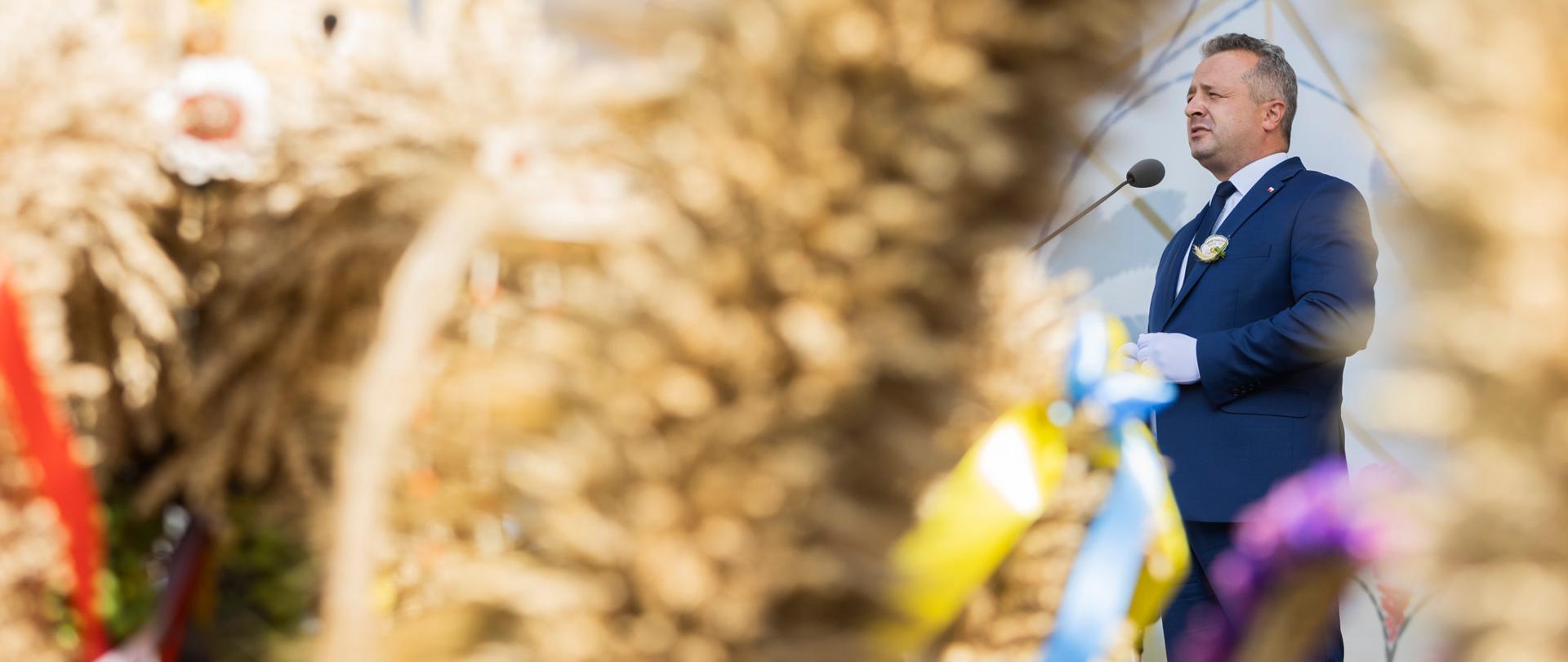 Wojewoda Mikołaj Bogdanowicz przemawia podczas Dożynek Województwa Kujawsko-Pomorskiego w Tucholi