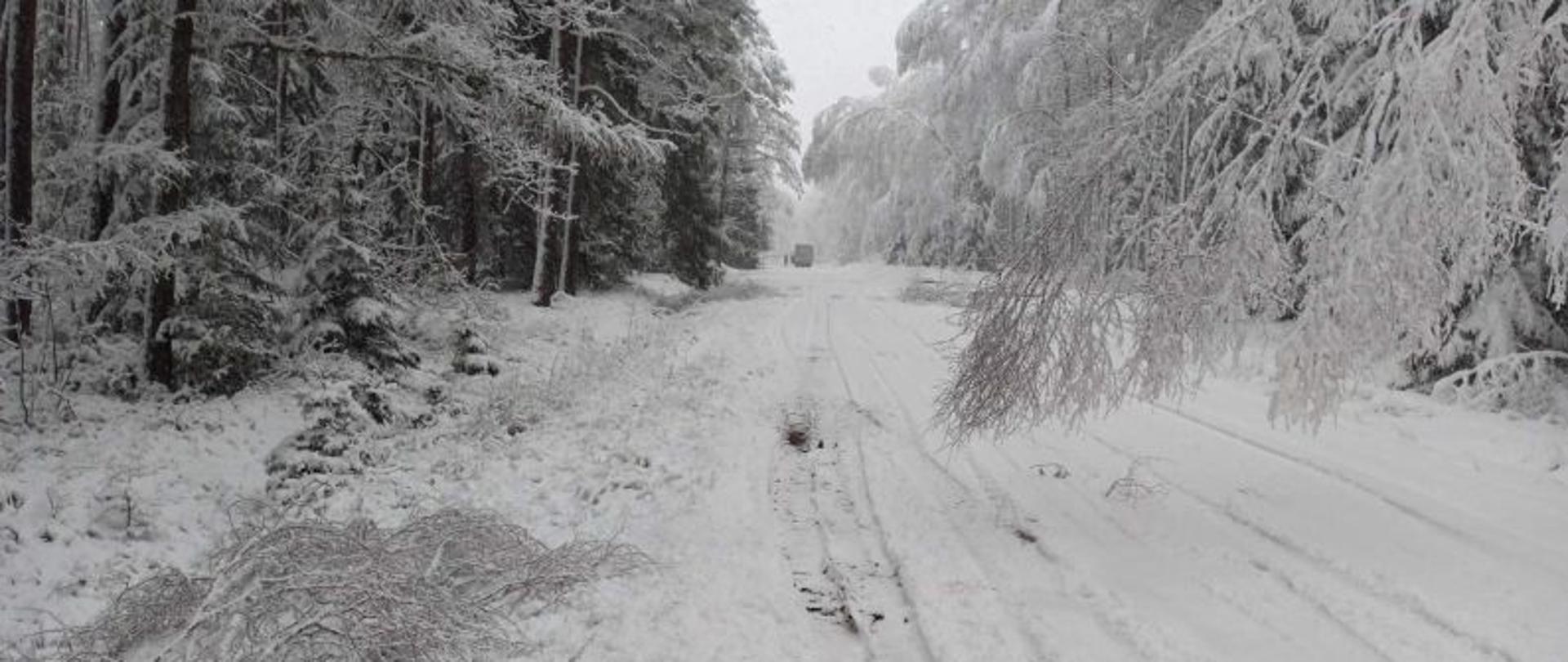 Widok na zaśnieżoną drogę. Bardzo dużo śniegu, na drodze, na drzewach. Drzewa mocno pochylone nad jezdnię. Na drzewach bardzo dużo śniegu. W oddali widać busa, który nie może dalej jechać bo drogę blokuje mu drzewo