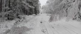 Widok na zaśnieżoną drogę. Bardzo dużo śniegu, na drodze, na drzewach. Drzewa mocno pochylone nad jezdnię. Na drzewach bardzo dużo śniegu. W oddali widać busa, który nie może dalej jechać bo drogę blokuje mu drzewo