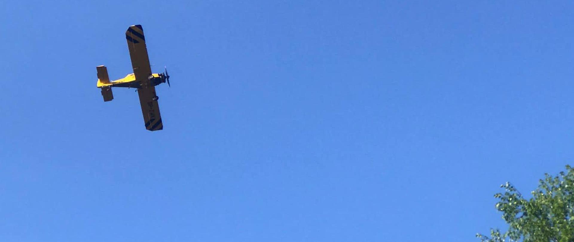 Pożar nieużytków Czerna