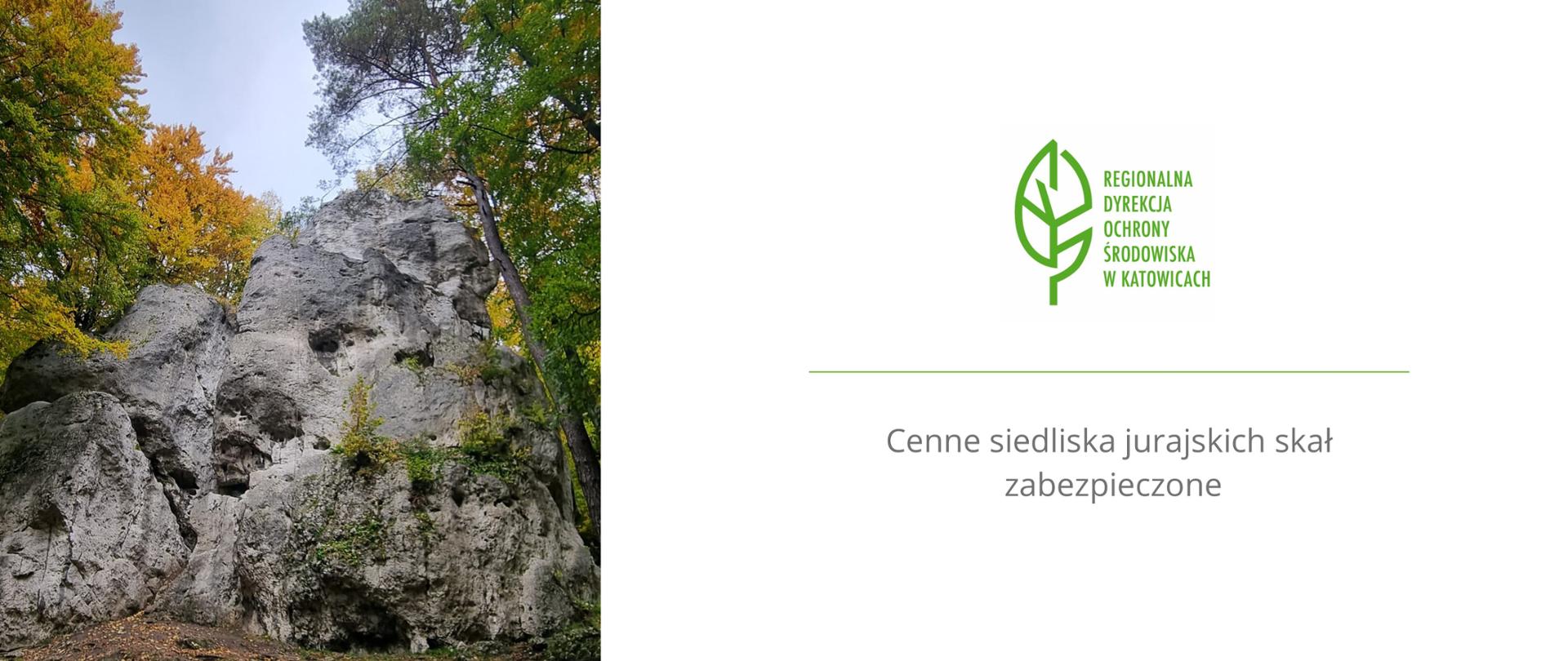 Grafika do artykułu cenne siedliska jurajskich skał zabezpieczone - zdjęcie skały z tekstem