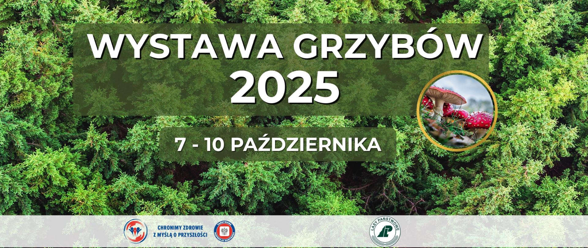 Grafika na zielonym leśnym tle. Na środku jest napis Wystawa Grzybów 2025, 7-10 października. Obok napisu w złotej ramce jest zdjęcie muchomora czerwonego. Na dole na białym pasku jest logo Inspekcji Sanitarnej i Lasów Państwowych.