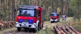 Trzy samochody ratowniczo - gaśnicze jadące ścieżką leśną. Tuż przy drodze leżą kłody drewna.