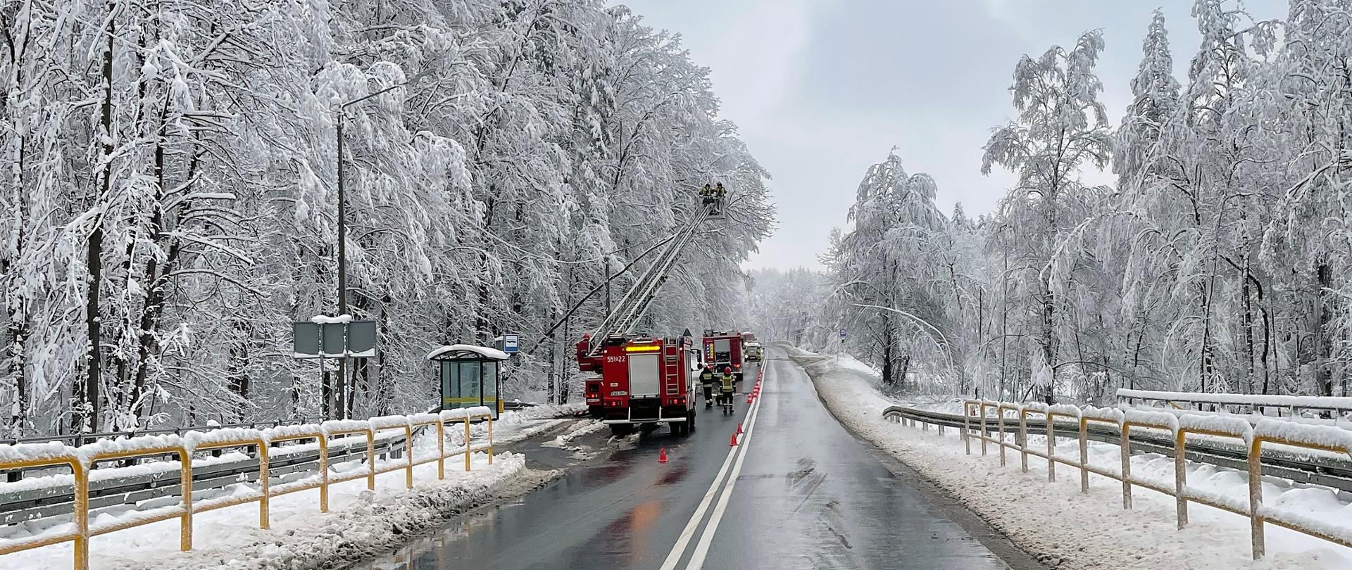 Widok ogólny na drogę krajową. Po obu stronach ośnieżone drzewa. Na drodze widoczne samochody strażackie: dwa pojazdy ratowniczo-gaśnicze i jeden pojazd z wysuniętą drabiną mechaniczną. W koszu drabiny widoczni dwaj strażacy.