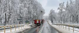 Widok ogólny na drogę krajową. Po obu stronach ośnieżone drzewa. Na drodze widoczne samochody strażackie: dwa pojazdy ratowniczo-gaśnicze i jeden pojazd z wysuniętą drabiną mechaniczną. W koszu drabiny widoczni dwaj strażacy.