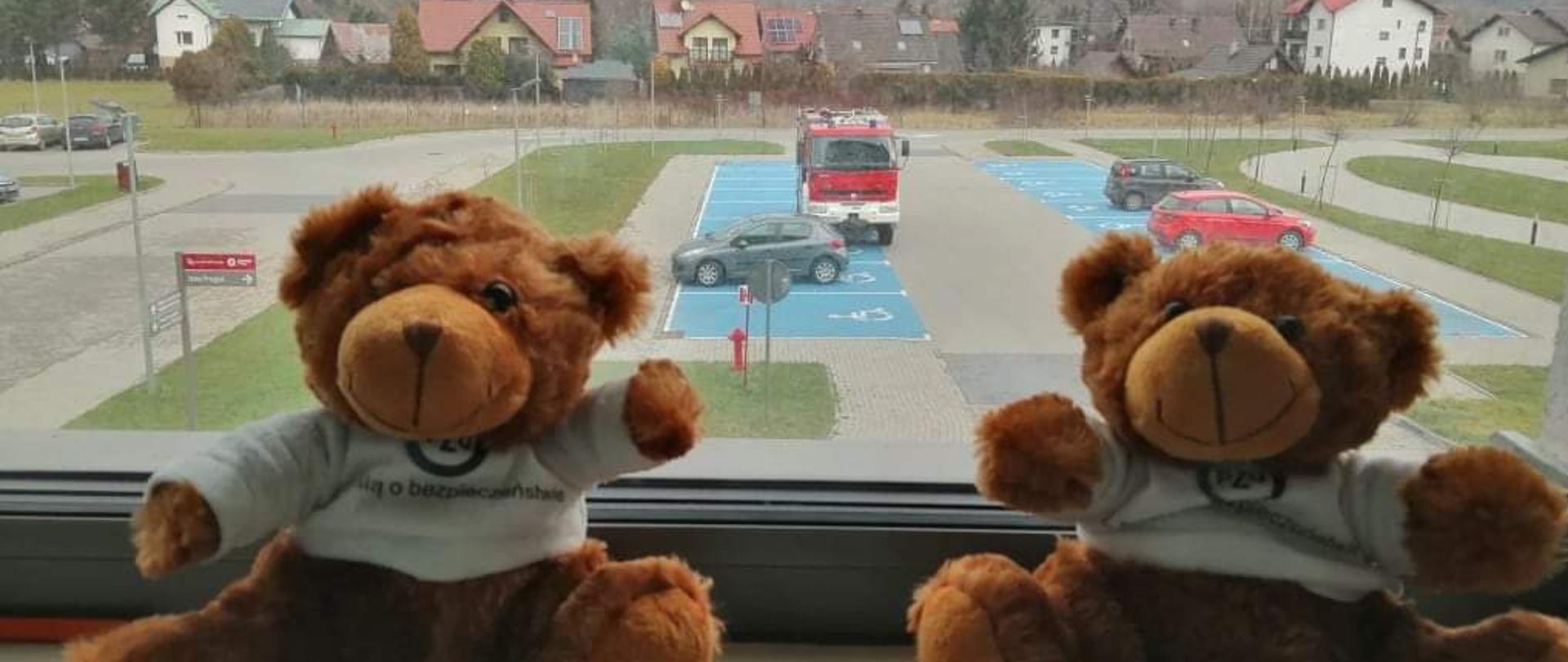 Miś ratownik w szpitalu.