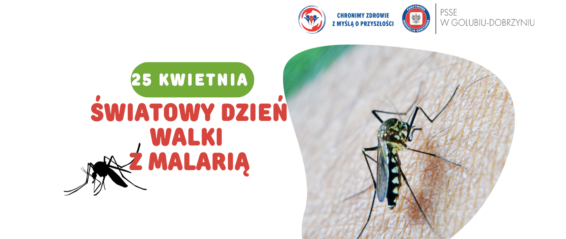 Po lewej stronie napis: "25 kwietnie - Światowy Dzień Walki z Malarią". Po prawej stronie ilustracja komara, a powyżej wspólny logotyp Państwowej Inspekcji Sanitarnej oraz PSSE w Golubiu-Dobrzyniu.