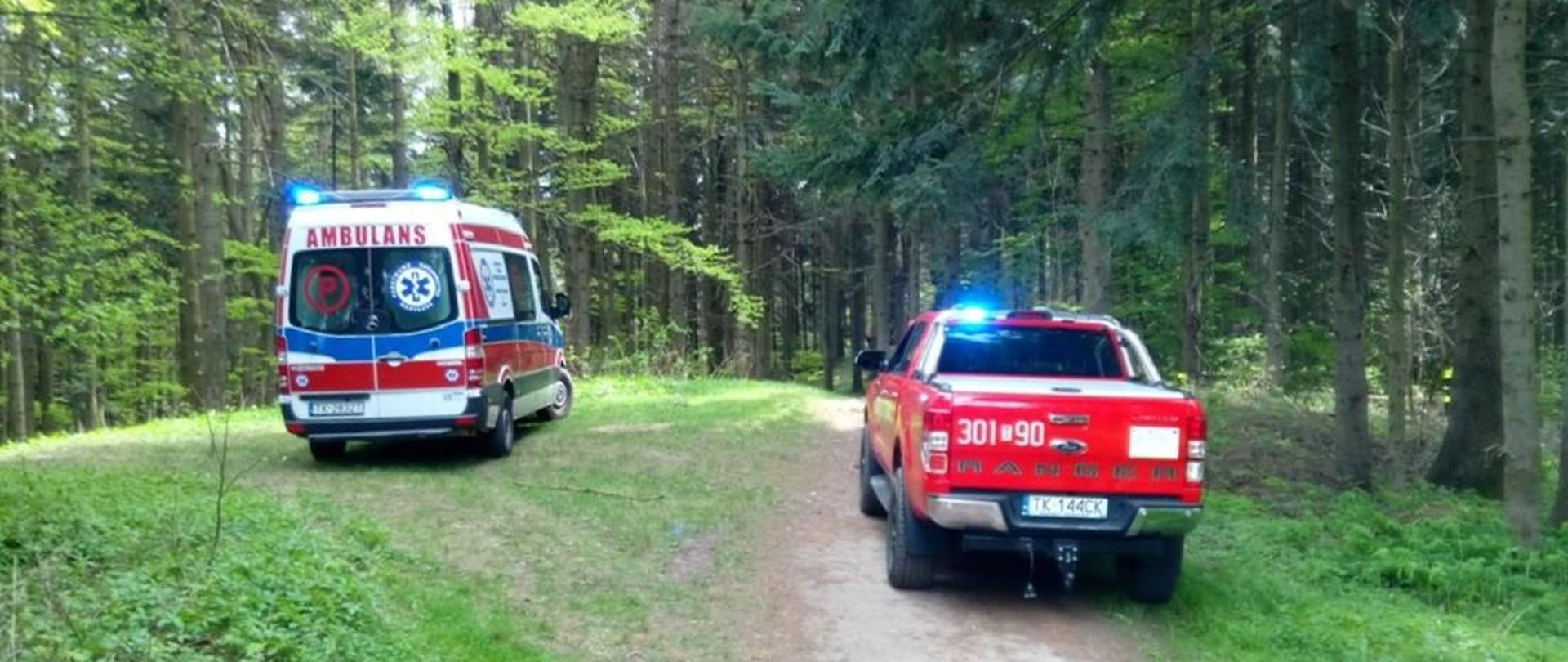 Zdjęcie przedstawia ambulans Zespołu Ratownictwa Medycznego oraz samochód operacyjny Państwowej Straży Pożarnej stojące na leśnej polanie.