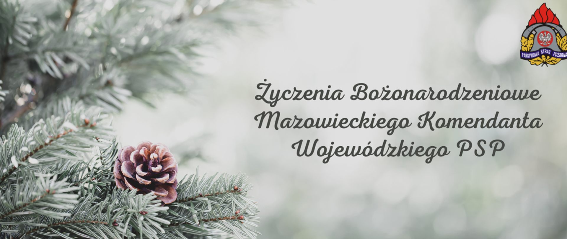 Gałązki sosny na prawo napis Życzenia Bożonarodzeniowe Mazowieckiego Komendanta Wojewódzkiego PSP