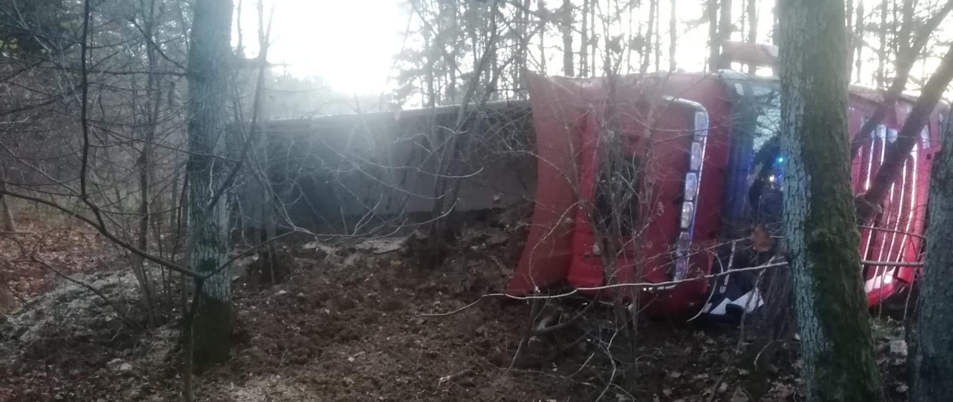 Zdjęcie przedstawia samochód ciężarowy z naczepą w rowie, który przewoził pomiot kurzy.