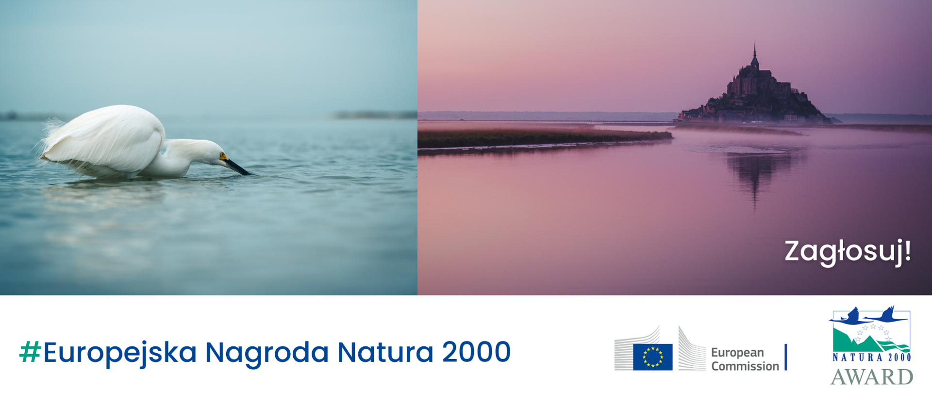 Dwa zdjęcia zestawione ze sobą. Na jednym biały ptak na wodzie, na drugim krajobraz z budowlą typu zamek i napis: Zagłosuj!
Na dole napis #Europejska Nagroda Natura 2000 i dwa logotypy: Komisji Europejskiej i Europejskiej Nagrody Natura 2000.
