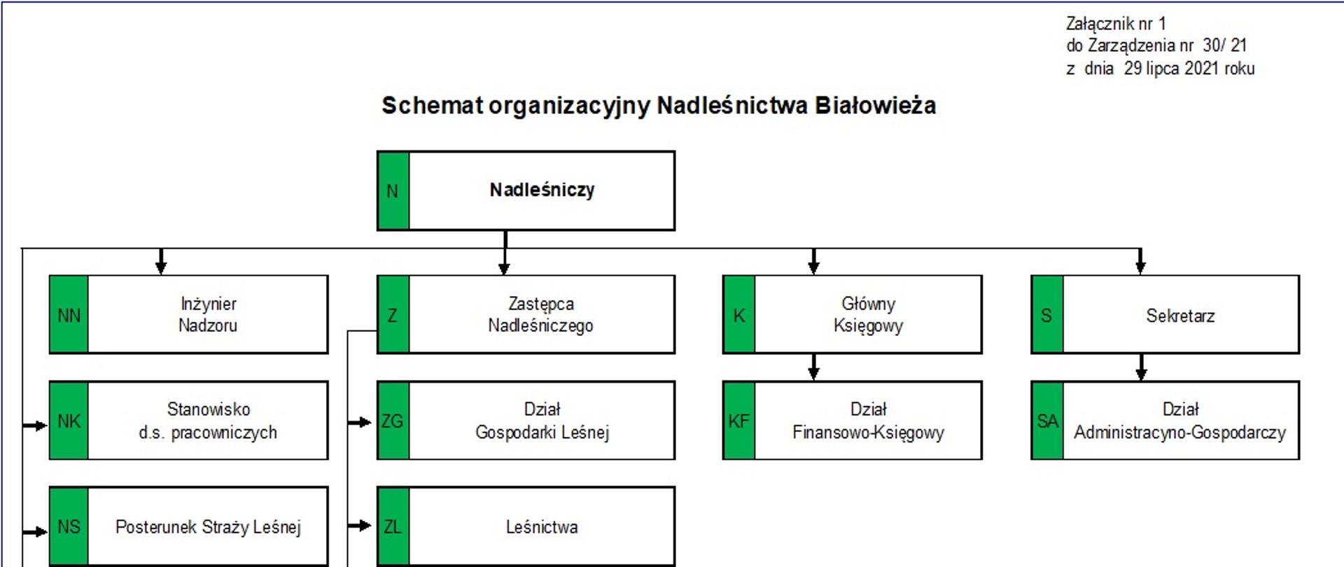 Schemat organizacyjny Nadleśnictwa Białowieża w formie schematu-drzewka określającego zależności służbowe w Nadleśnictwie Białowieża