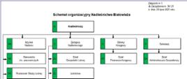 Schemat organizacyjny w formie wykresu-drzewka, przedstawiającego zależności służbowe komórek organizacyjnych w Nadleśnictwie Białowieża