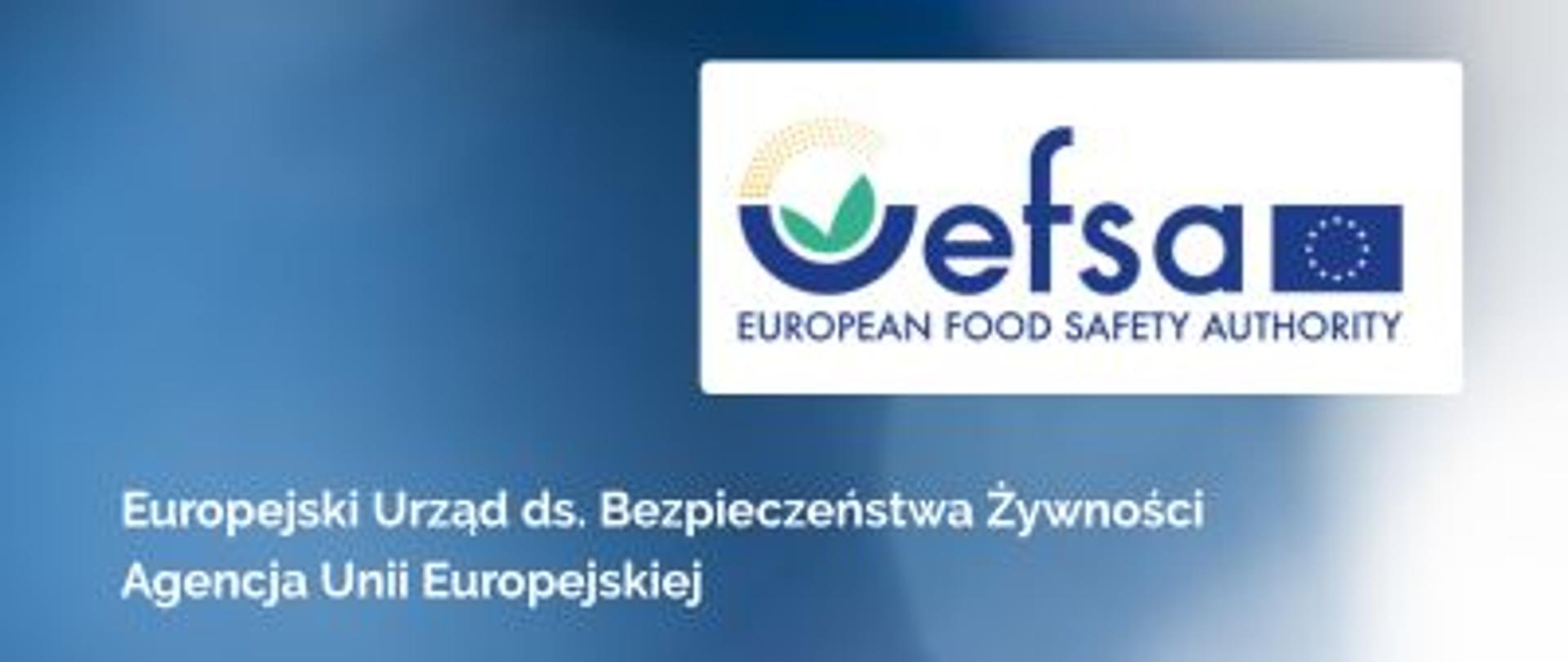 EFSA na strone GOV - tło panoramiczne