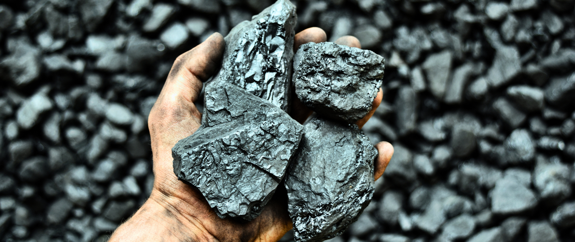 Bryły węgla trzymane w dłoni.