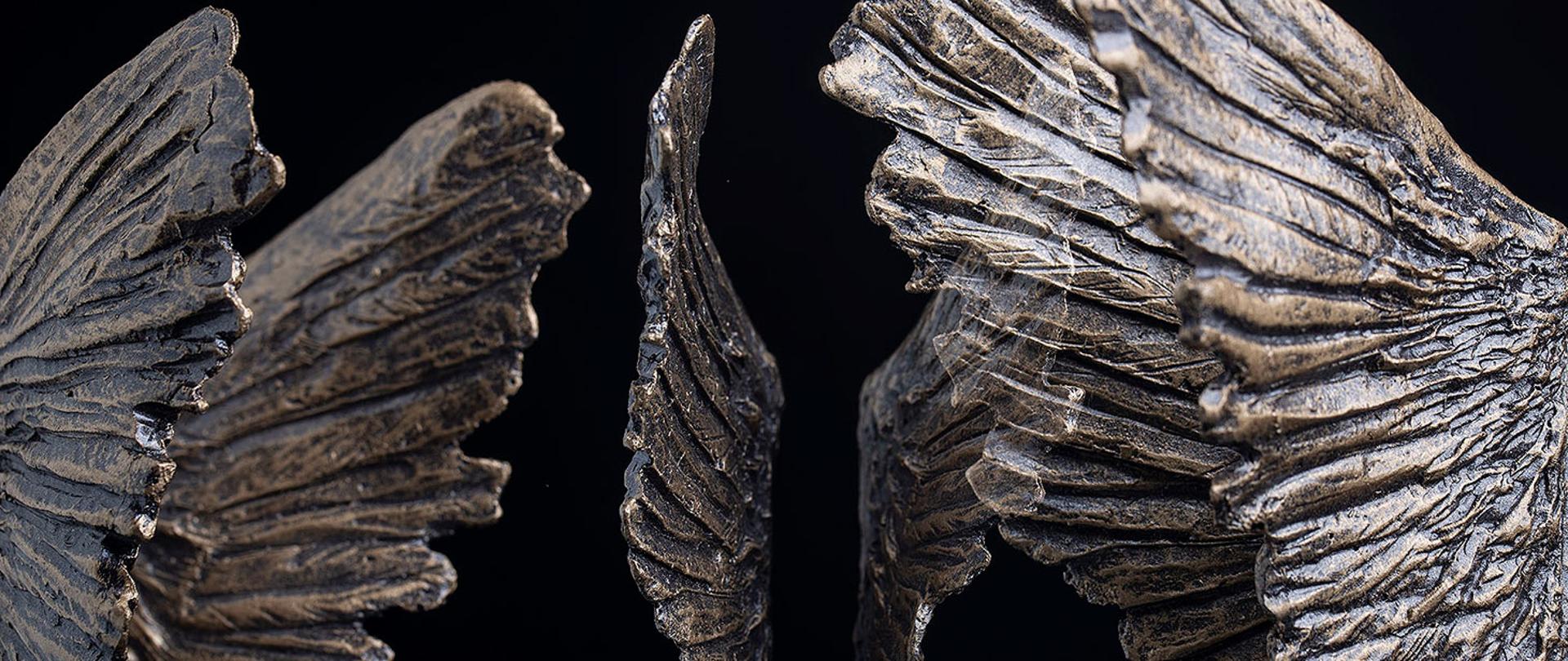 Zdjęcie przedstawia fotomontaż statuetki (w formie skrzydeł) przenikającą się pod różnymi kontami na czarnym tle.