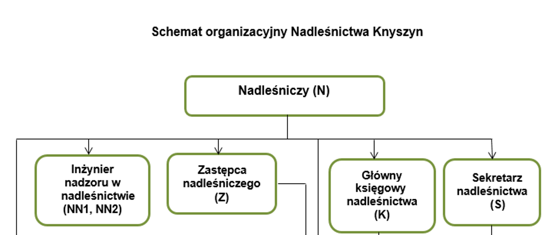 Zdjęcie przedstawia schemat organizacyjny Nadleśnictwa Knyszyn