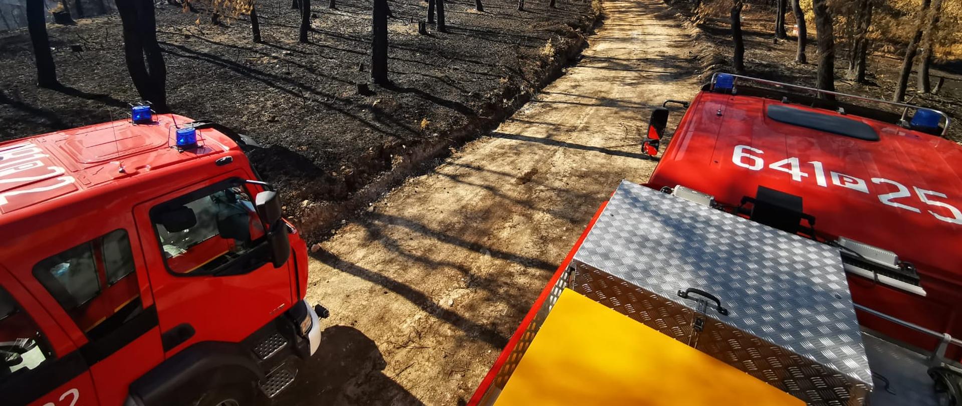 Wozy strażackie jada przez spalony las w Grecji