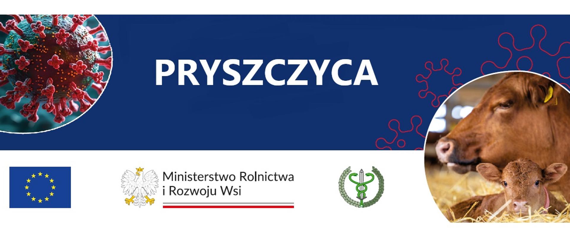 Na zdjęciu napis pryszczyca oraz loga Unii Europejskiej, MRiRW oraz Głównego Inspektoratu Weterynarii.