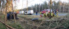 Na zdjęciu las w lesie rozbite auto po dachowaniu, przy poszkodowanym strażacy udzielający pomocy na jezdni samochody strażackie oraz 2 busy
