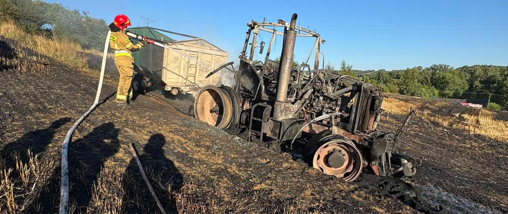 Na zdjęciu widoczny strażak dogaszający spalony ciągnik rolniczy z przyczepa oraz zboże