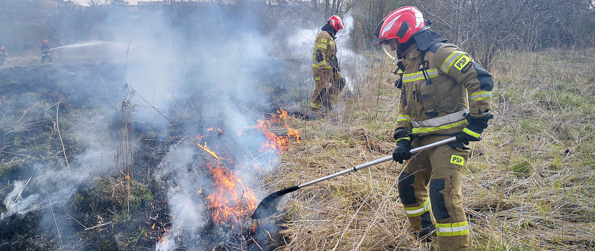 zdjęcie przedstawia pożar suchej trawy na łące. Dwóch strażaków w ubraniach specjalnych gasi pożar przy pomocy tłumic. W tle widać strażaków podający prąd gaśniczy na palącą się trawę.