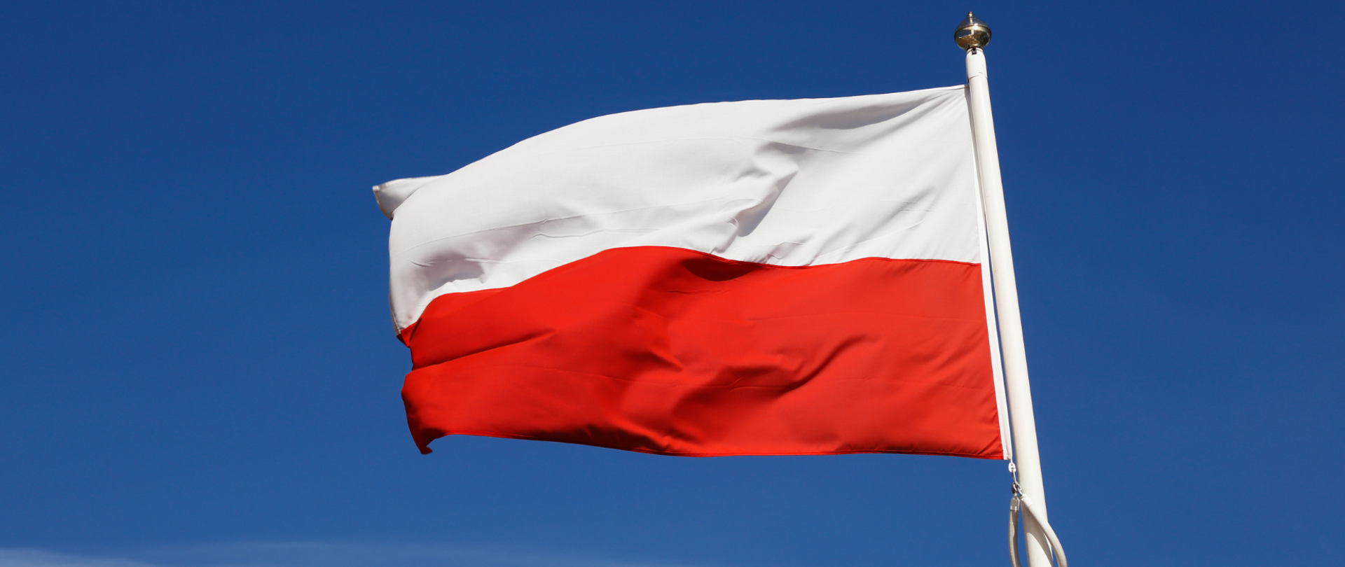 Na zdjęciu znajduje się flaga Polski